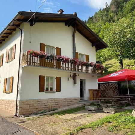Hotel Casa Ortis Paluzza Exteriér fotografie